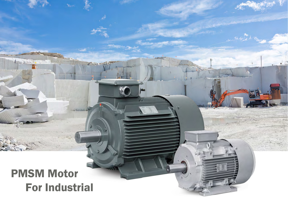 30KW 37kw 380V 750RPM High efficiency Permanent magnet synchronous electric motor PMSM AC motor for cement