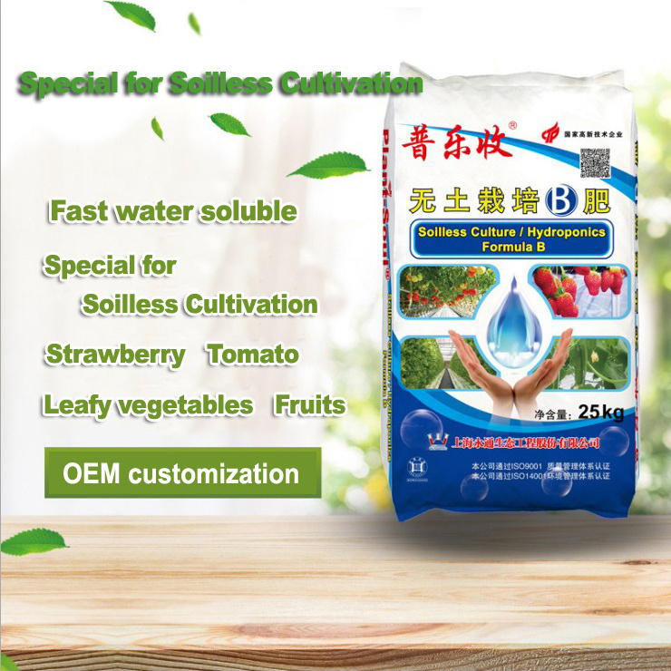 Special fertilizer for soilless cultivation strawberry leafy vegetables