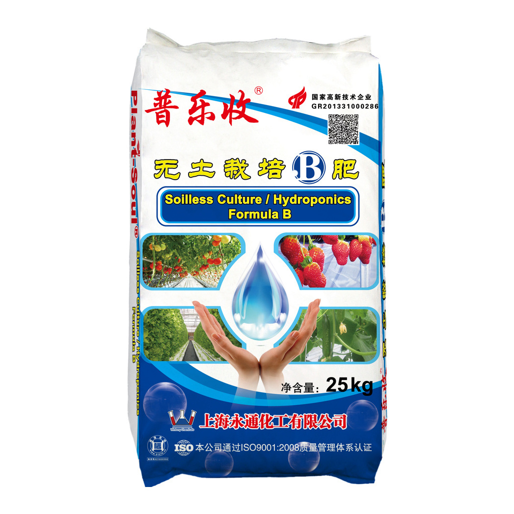 Special fertilizer for soilless cultivation strawberry leafy vegetables