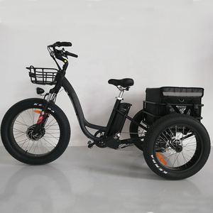 24inch  electric trike fat tire 3 wheels Electric bicycle  cargo electric Tricycle