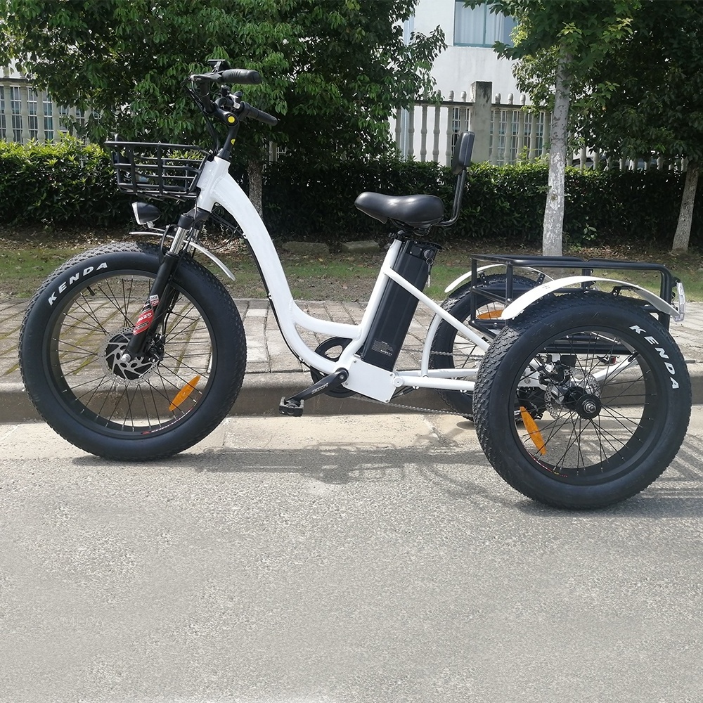 Bisek 3 Wheel Electric Fat Tire Trike Cargo Electric Bike 48V 500W Electric Tricycle For Adults