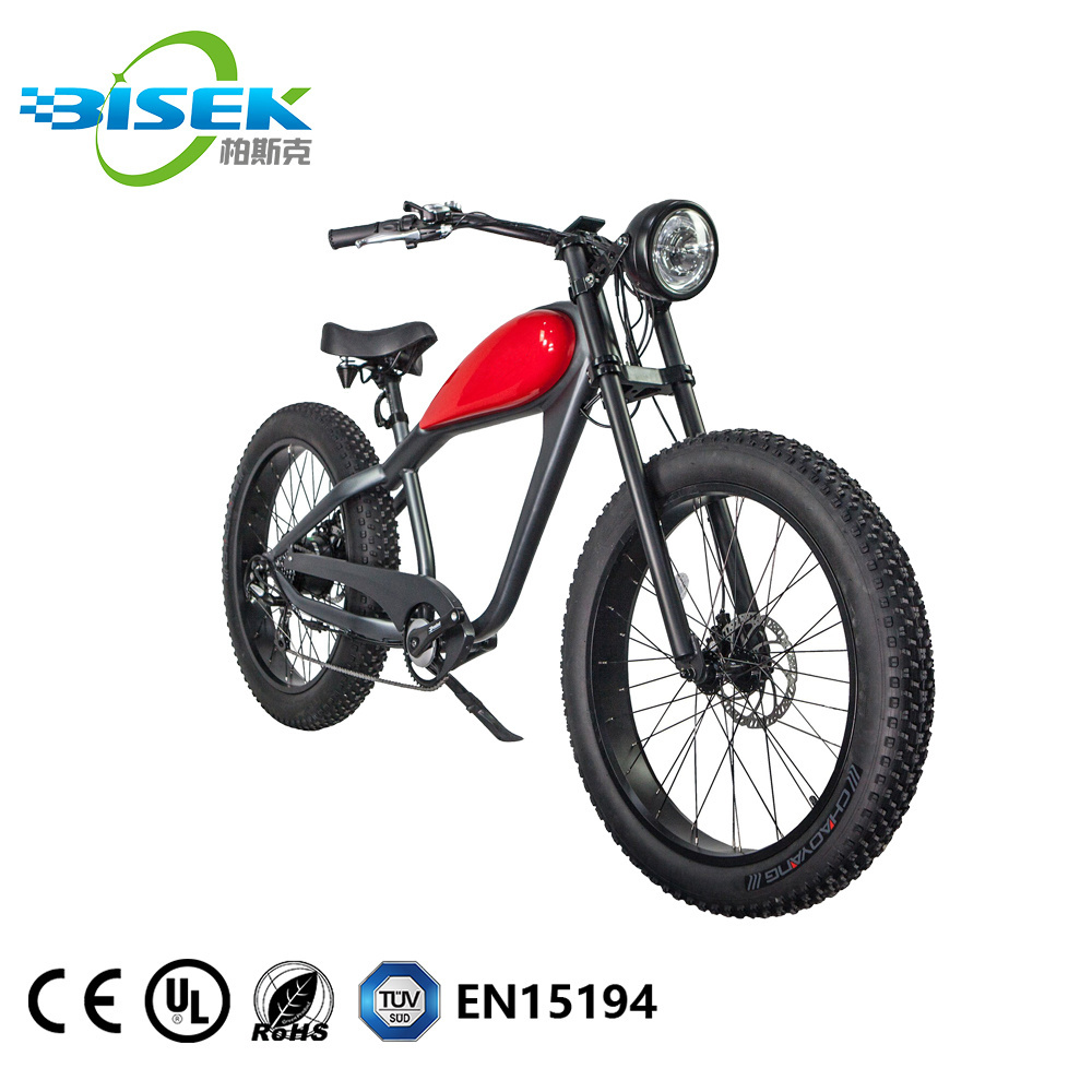 2021 New Velo Electrique Vintage 48V 500W 750W Electric Bike With EN15194