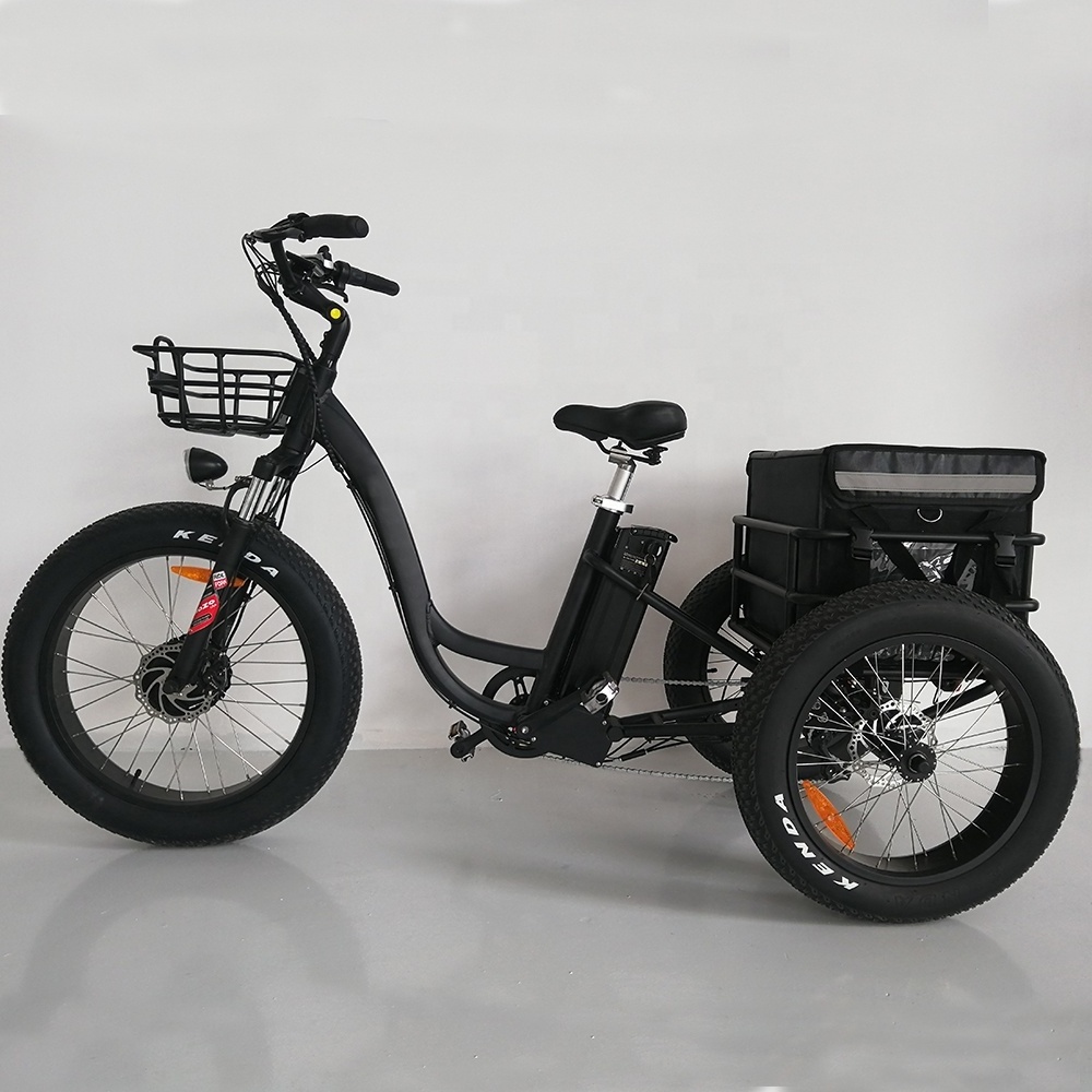 Bisek 3 Wheel Electric Fat Tire Trike Cargo Electric Bike 48V 500W Electric Tricycle For Adults