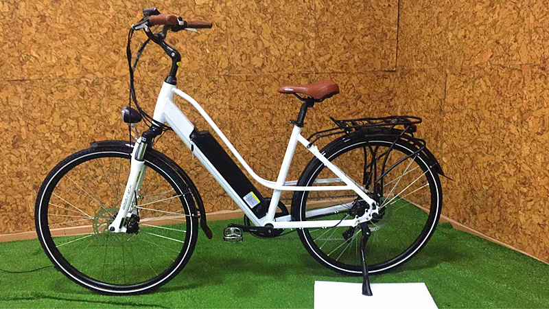 BISEK CYCLE electric bike 36V 250W Rear motor driving electric bike city Bicycle For Sale