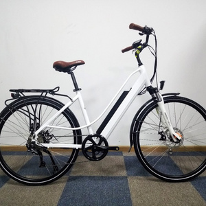 BISEK CYCLE electric bike 36V 250W Rear motor driving electric bike city Bicycle For Sale