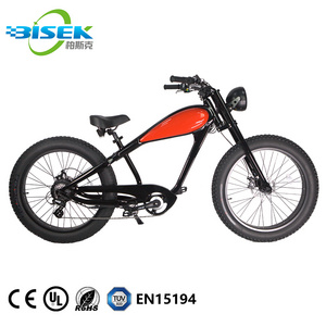 2021 New Velo Electrique Vintage 48V 500W 750W Electric Bike With EN15194