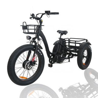 Bisek 3 Wheel Electric Fat Tire Trike Cargo Electric Bike 48V 500W Electric Tricycle For Adults