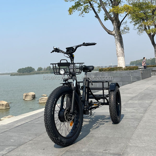 2022 User-friendly Electric Tricycle Bike 3 Wheel electric tricycle for handicapped from China