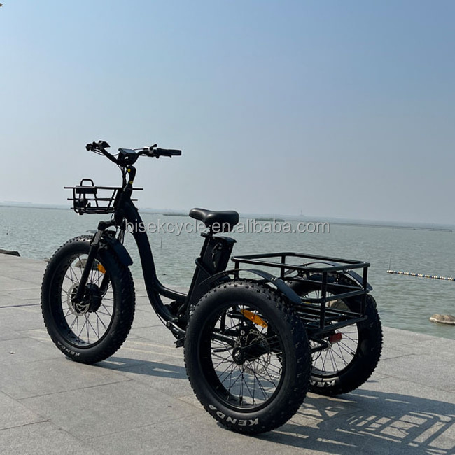 Electric Trike Electric Trike 3 Wheel Electric Bicycle Electric Tricycle Fat Tire easy rider recumbant electric bicycle