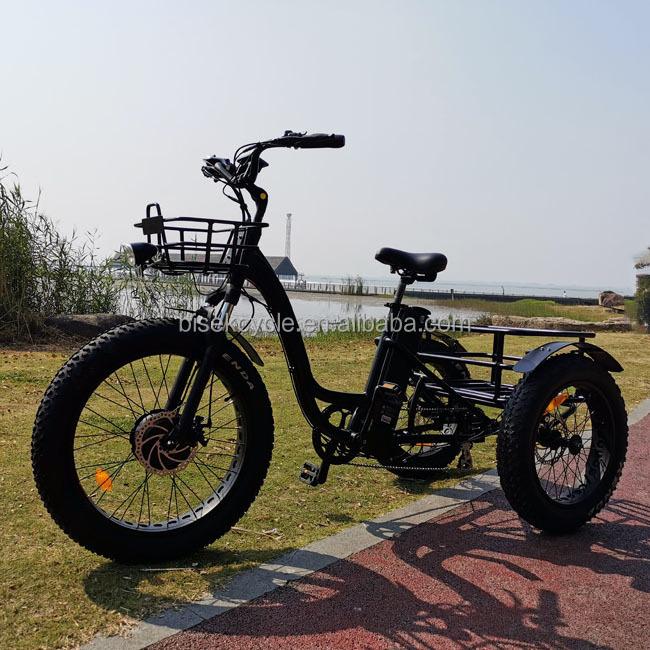 24 inch electric Good trike fat tire 3 wheel OEM custom Electric Tricycle three wheels adult cargo electric bike with basket