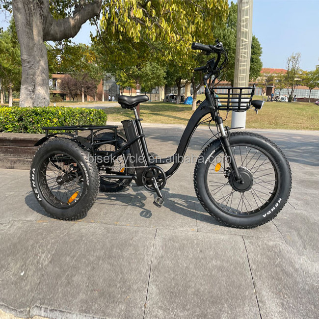 24 inch electric Good trike fat tire 3 wheel OEM custom Electric Tricycle three wheels adult cargo electric bike with basket