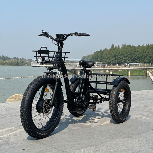 24 inch electric Good trike fat tire 3 wheel OEM custom Electric Tricycle three wheels adult cargo electric bike with basket