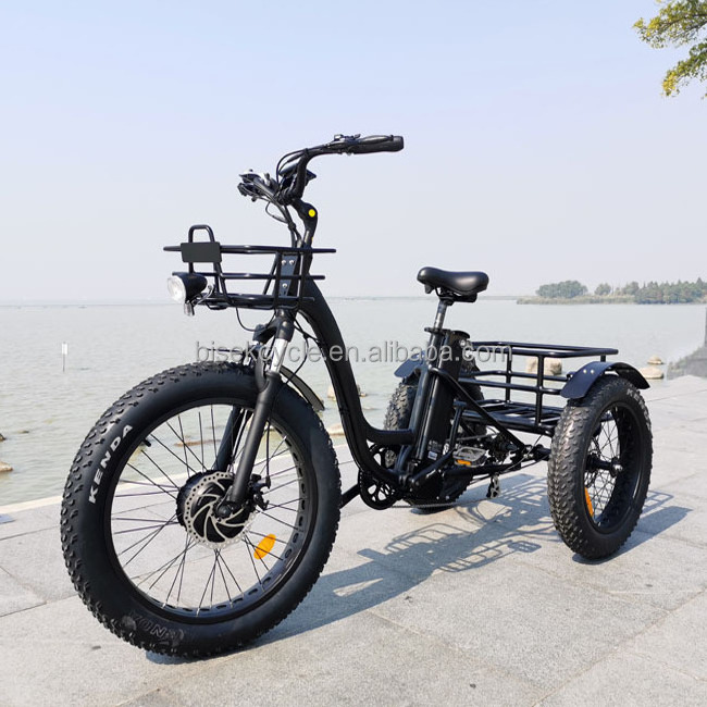 24 inch electric Good trike fat tire 3 wheel OEM custom Electric Tricycle three wheels adult cargo electric bike with basket