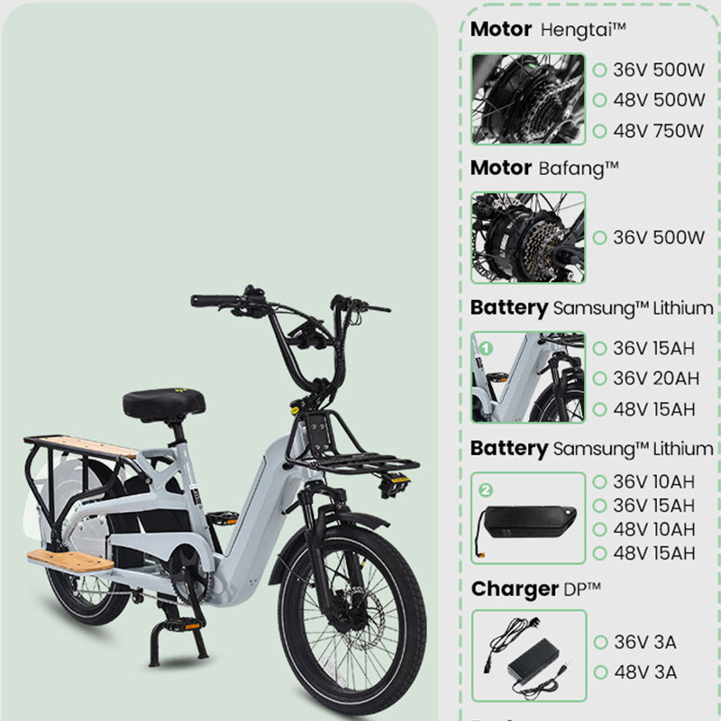 OEM Dual Battery Electric Cargo Bicycle Long Range Electrically Cargo bike 2 Wheels Ebike Ecargo fat tire electric cargo bike