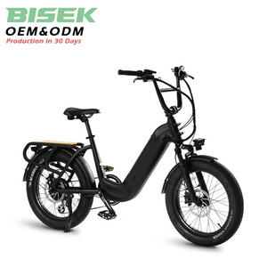 OEM Long tail electric utility bike bisicleta electrica electric cargo bike for adults electric cargo bicycle