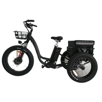 Electric Trike Electric Trike 3 Wheel Electric Bicycle Electric Tricycle Fat Tire easy rider recumbant electric bicycle