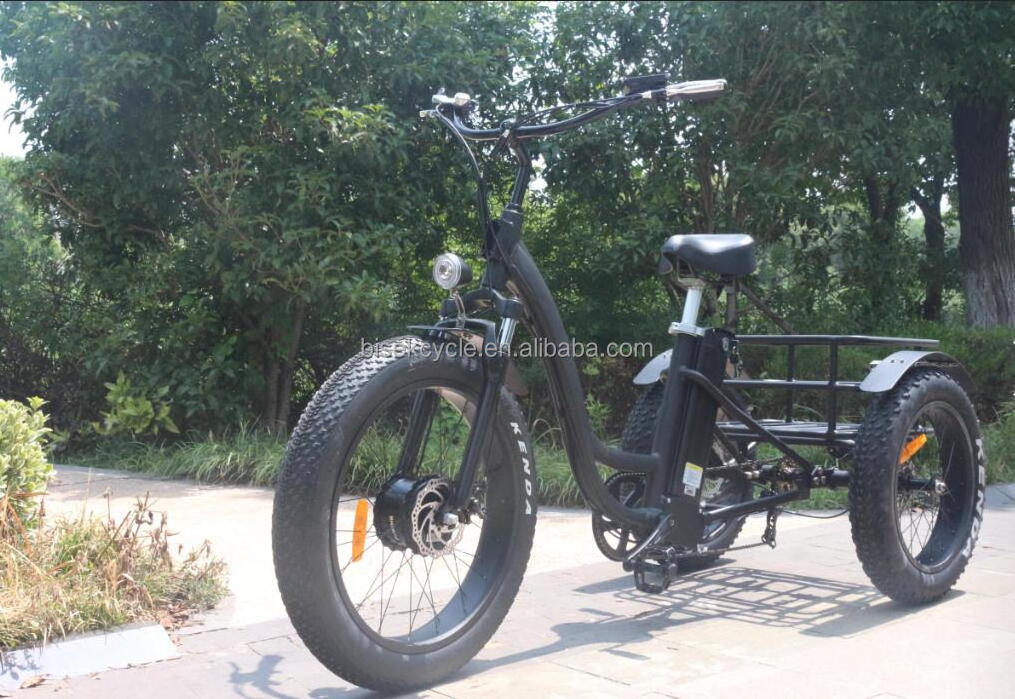 2022 High Power Electric Tricycles Family Cargo Bike Lithium Battery Three Wheel Electric Bicycle 48v 500w e Bike for Sale