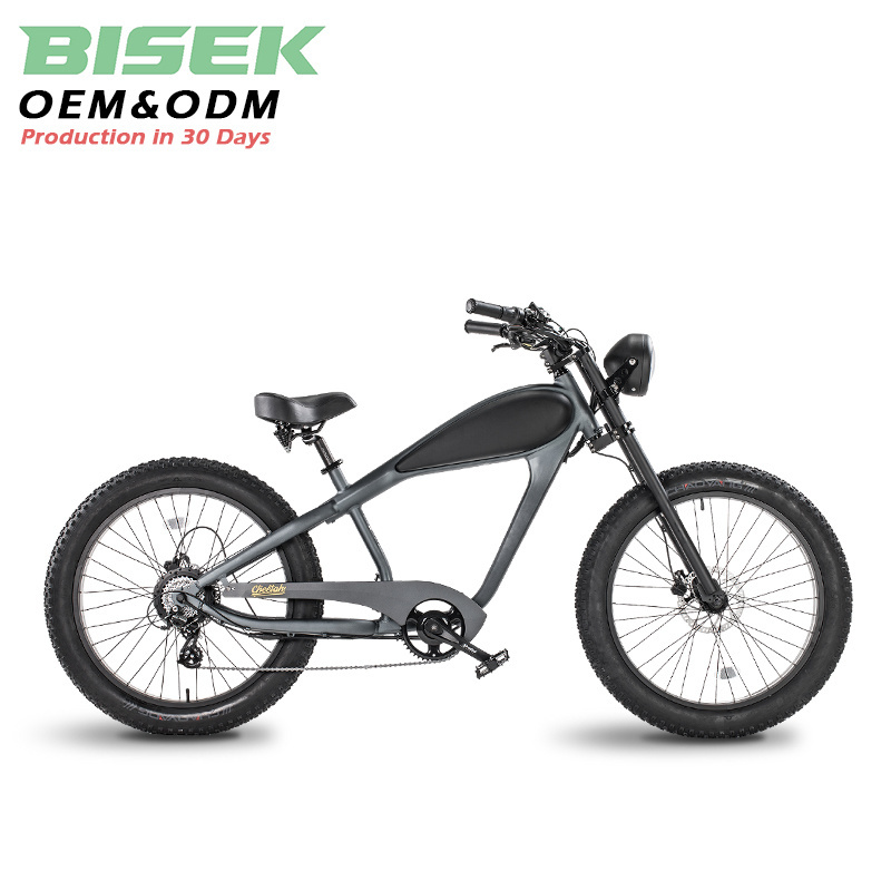 OEM 26*4.0 750W 1000W High Power Fat Tire Electric Mountain E bike/Snow Bike/Electric Bicycle With CE