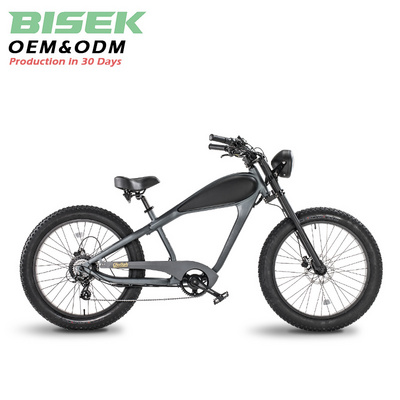 OEM 26*4.0 750W 1000W High Power Fat Tire Electric Mountain E bike/Snow Bike/Electric Bicycle With CE