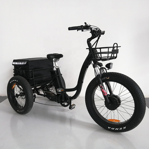 20inch electric cargo bike fat tire motorcycle electric tricycles e trike from Biske