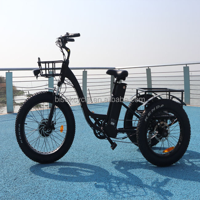 Electric Trike Electric Trike 3 Wheel Electric Bicycle Electric Tricycle Fat Tire easy rider recumbant electric bicycle