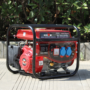 Bison China 1.0Kva 1 Kw 1Kw 1000 Watt Super Silent Portable Natural Gas Gasoline Generators Price