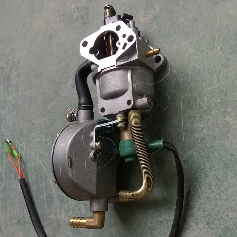 BISON(China) Petrol To Gas Conversion Kit Generator