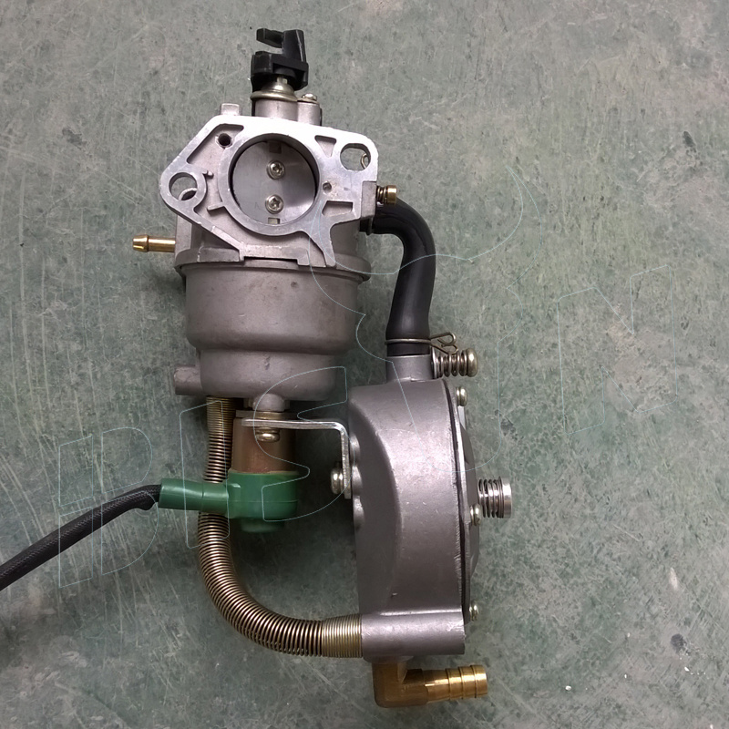 BISON(China) Petrol To Gas Conversion Kit Generator