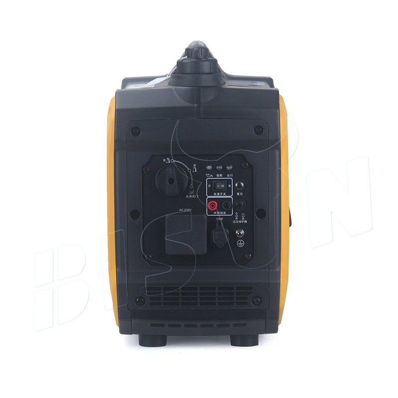 Bison Factory Price Dual Fuel Gas And Petrol 2Kw 2Kva 2000W Portable Inverter Generator