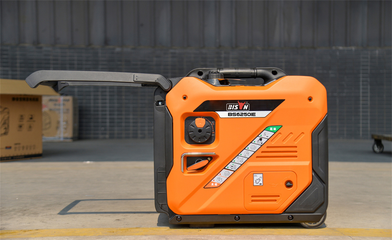 Bison 5Kw 5Kva 5000W Low Fuel Consumption Portable Gasoline Gas Dual Fuel Inverter Generator