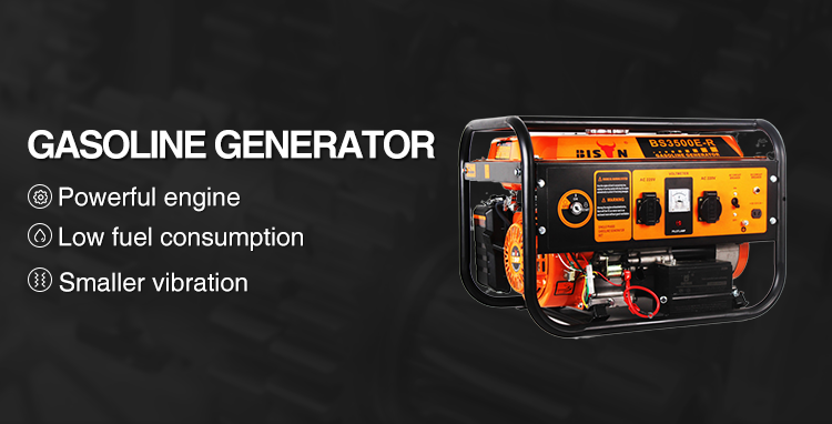 Bison 170F Engine Power 3Kva 3Kw 3000Watts Recoil Electric Start 48V Dc Gasoline Generator