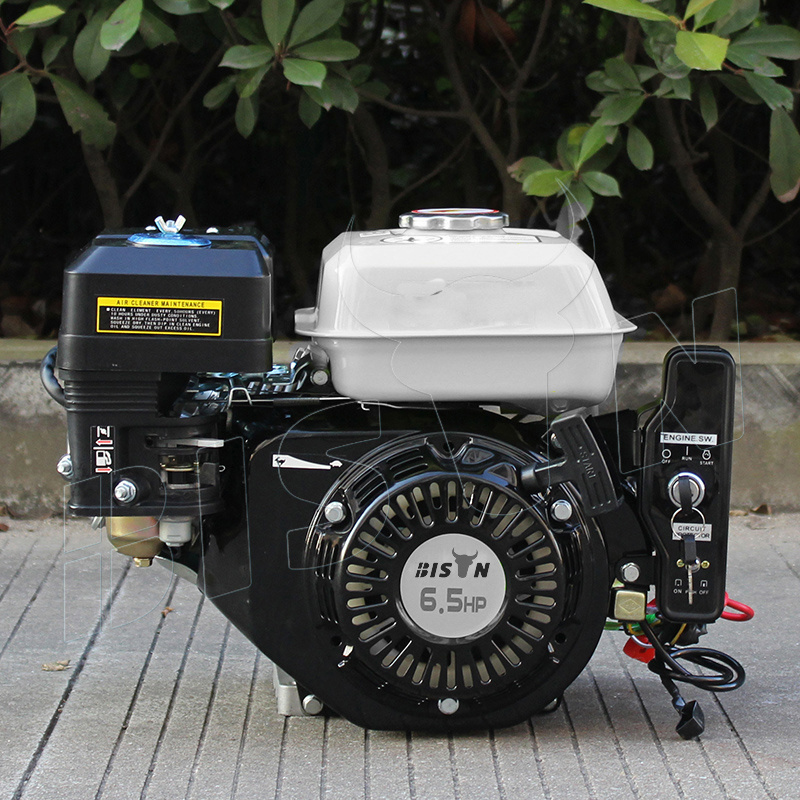 168f BS160 163cc Small Petrol Engine 5.5HP OHV Air cooled 4 stroke Gasoline Engine with Gearbox