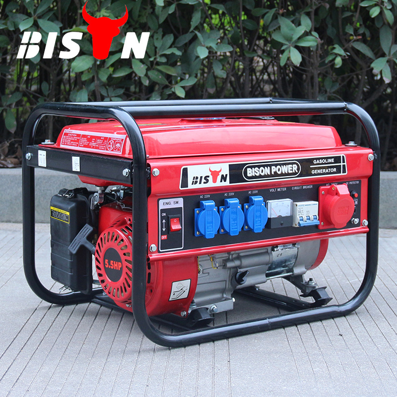 Bison Low Fuel Consumption 3kw 3kva 3000w Petrol Generator Electronic Start Portable Gasoline Generator For Camping