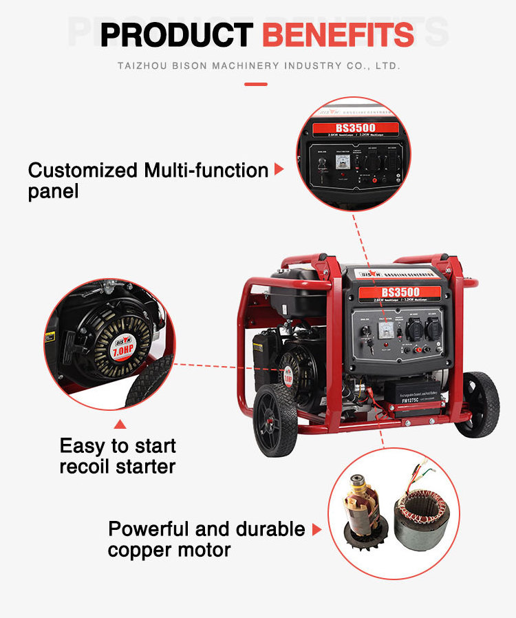 Bison 120V/220V Power Generation Equipment 3kw 3kva 3000w Manual Start Gasoline Powered Generator