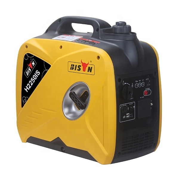 Bison Portable Generator 110V 220V 2000W 2Kw Dual Fuel Gas And Petrol Inverter Generator