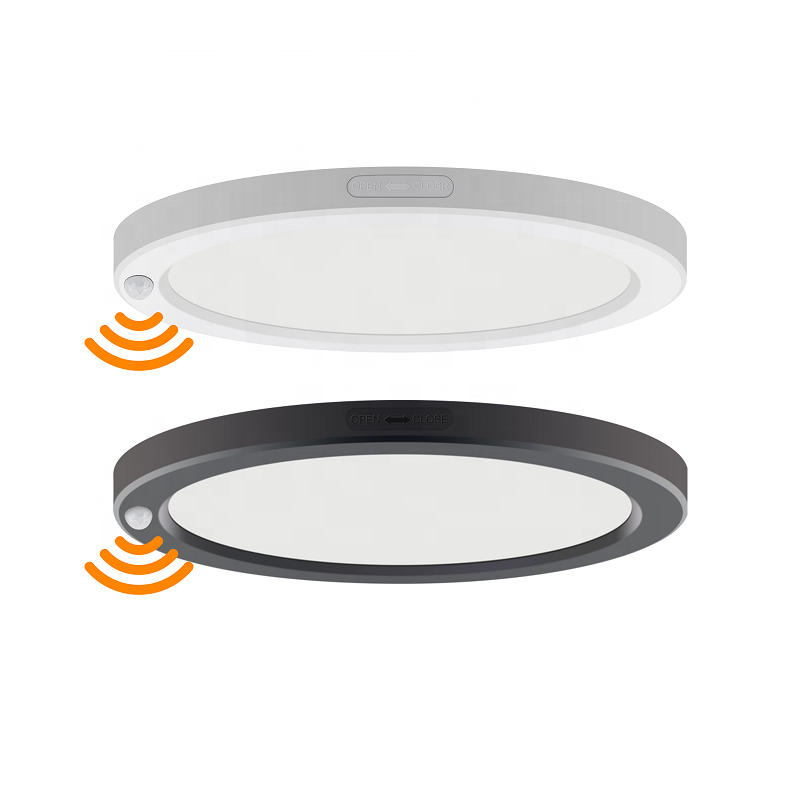 Biumart 12W PIR Motion LED Ceiling Light 7/9/11/12inch Ceiling Light Modern Single CCT Ceiling Light with ETL