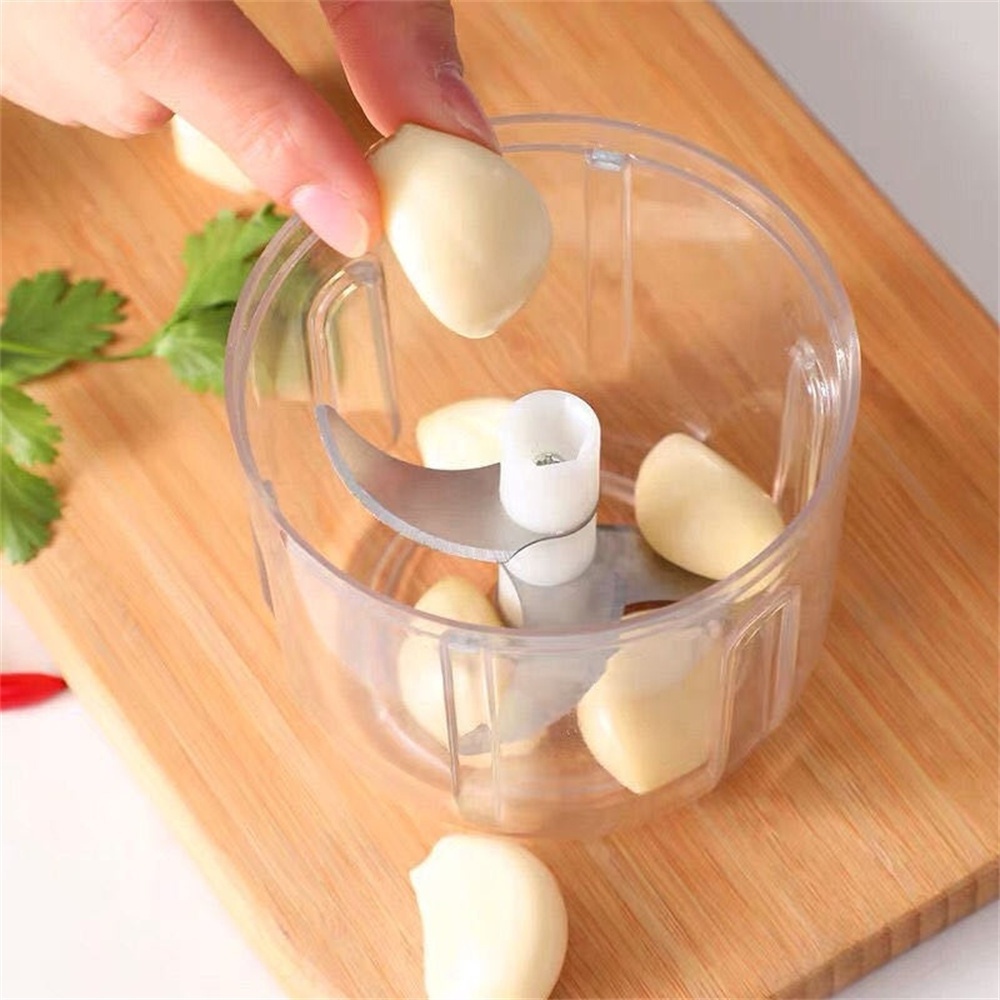 Biumart Garlic Crusher New 100/250ml Electric Fruit Meat Cutter Tools and Gadgets Garlic Press Crusher and Mincer