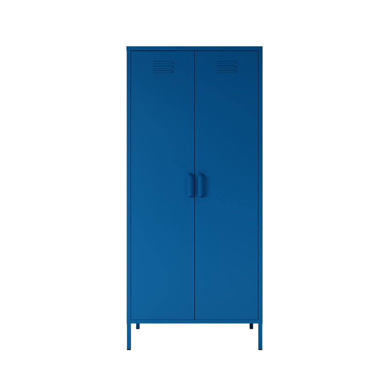 High Quality modern design metal locker cabinet with 2 swing doors bedroom furniture clothes storage waterproof cupboard