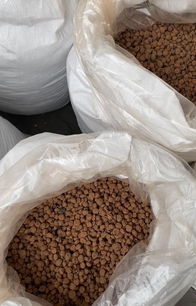 NON GMO PRIME QUALITY  DRY TIGER NUT BULK TIGER NUT BIG TIGER NUT FROM WEST AFRICA