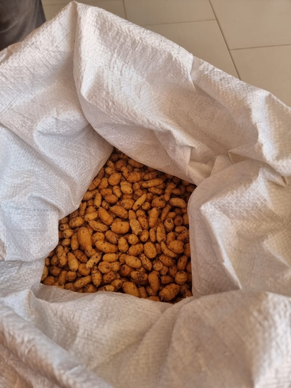 NON GMO PRIME QUALITY  DRY TIGER NUT BULK TIGER NUT BIG TIGER NUT FROM WEST AFRICA