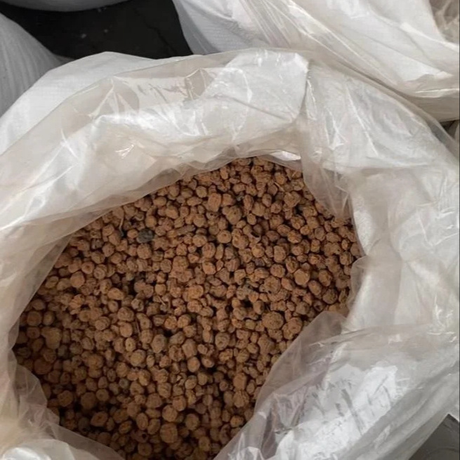 HIGH QUALITY DRY TIGER NUT BULK TIGER NUT BIG TIGER NUT FOR FISHING AND FEEDING AND FOOD