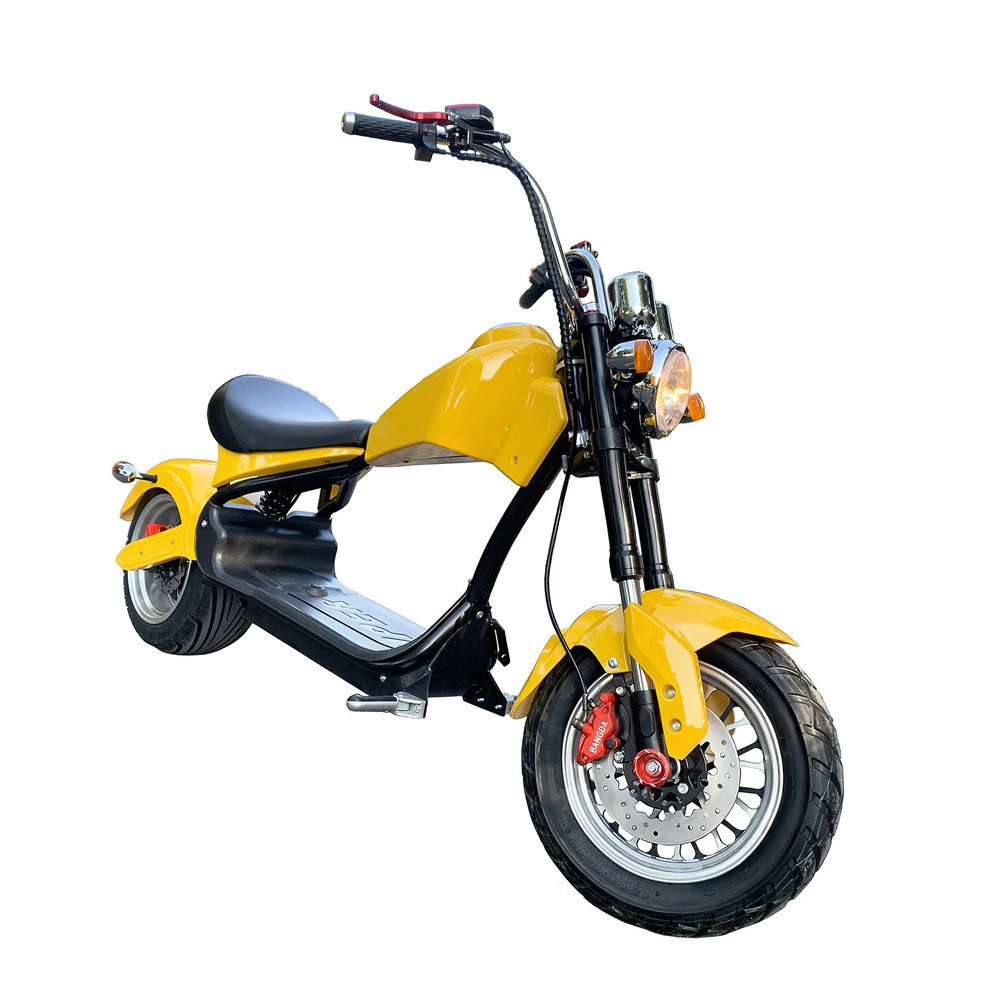 Electric Folding Bike Electric Motorcycle Pantera Folding Electric Bike