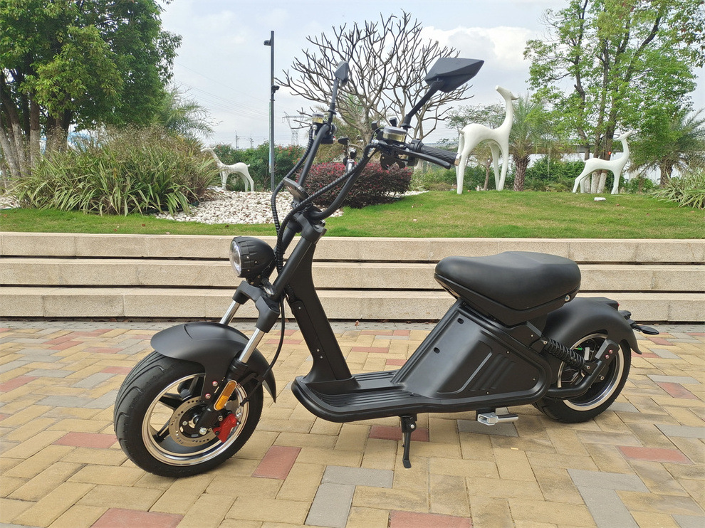 Adult Electric Scooters 3000w Bjane New Model E-cruise Electric Motorcycles