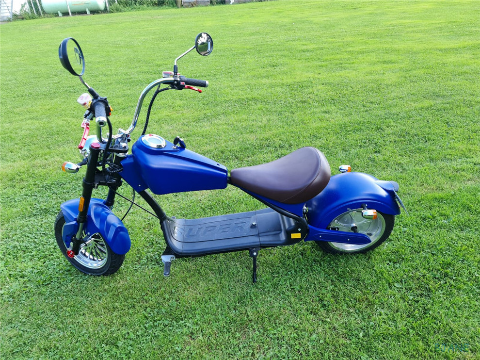 Electric Scooter Citycoco Scooter Motor 2000w Adult Mini Chopper Chinese Citycoco Electric Motorcycle For Sale