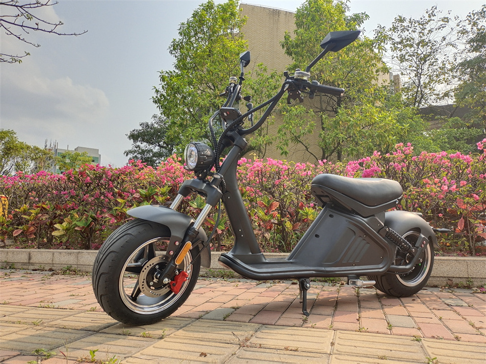 Adult Electric Scooters 3000w Bjane New Model E-cruise Electric Motorcycles