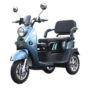 Bjane New Design Enclosed Body Electric Tricycle China 5 Doors Motorized Tricycles Electric Trike