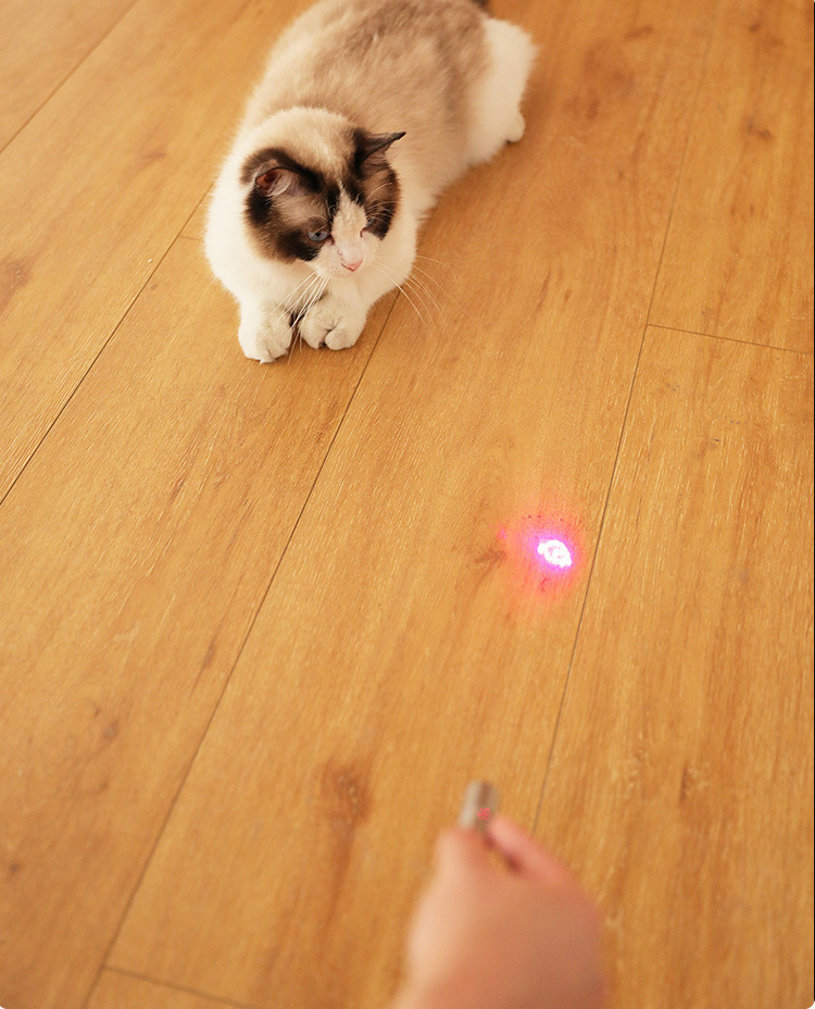 Hot Selling Pet Toy 4 In 1 Interactive  Usb Rechargeable Metal Cat Laser Pointer  teaser Stick Toy