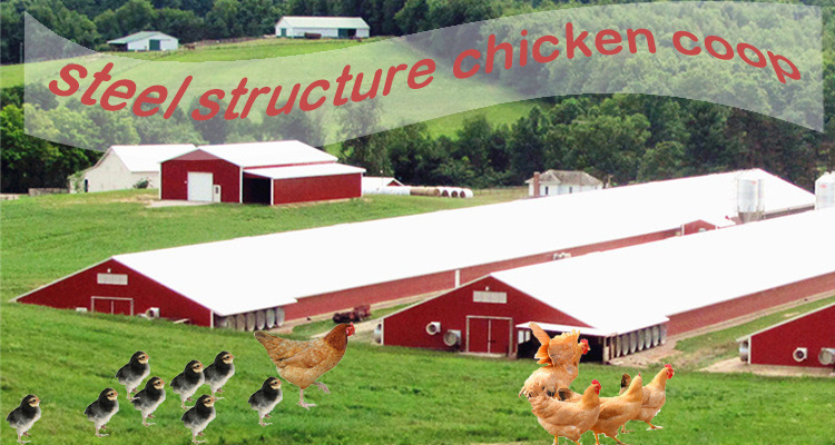 Low-cost prefabricated Chinese metal steel structure construction cattle chicken sheep barn shed