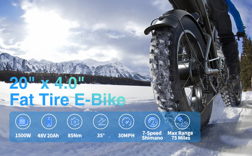 V8 48V 750W 20 Inch 40 Mph US EU Warehouse Full Suspension Fat Tire E Bike Ebike Fatbike Electric Bicycle