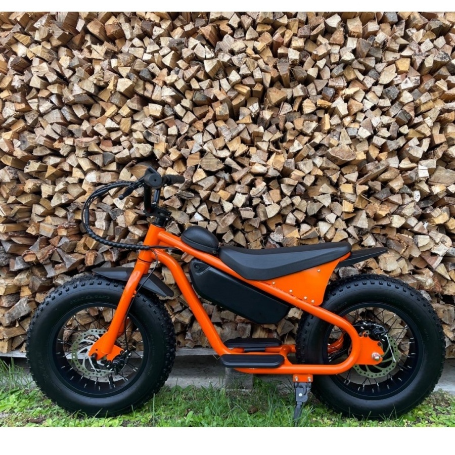 Warehouse Stock Mountain Hybrid Electric Fat Tire Bike Chinese Electric Bike 16inch  Electric Bike For Kids